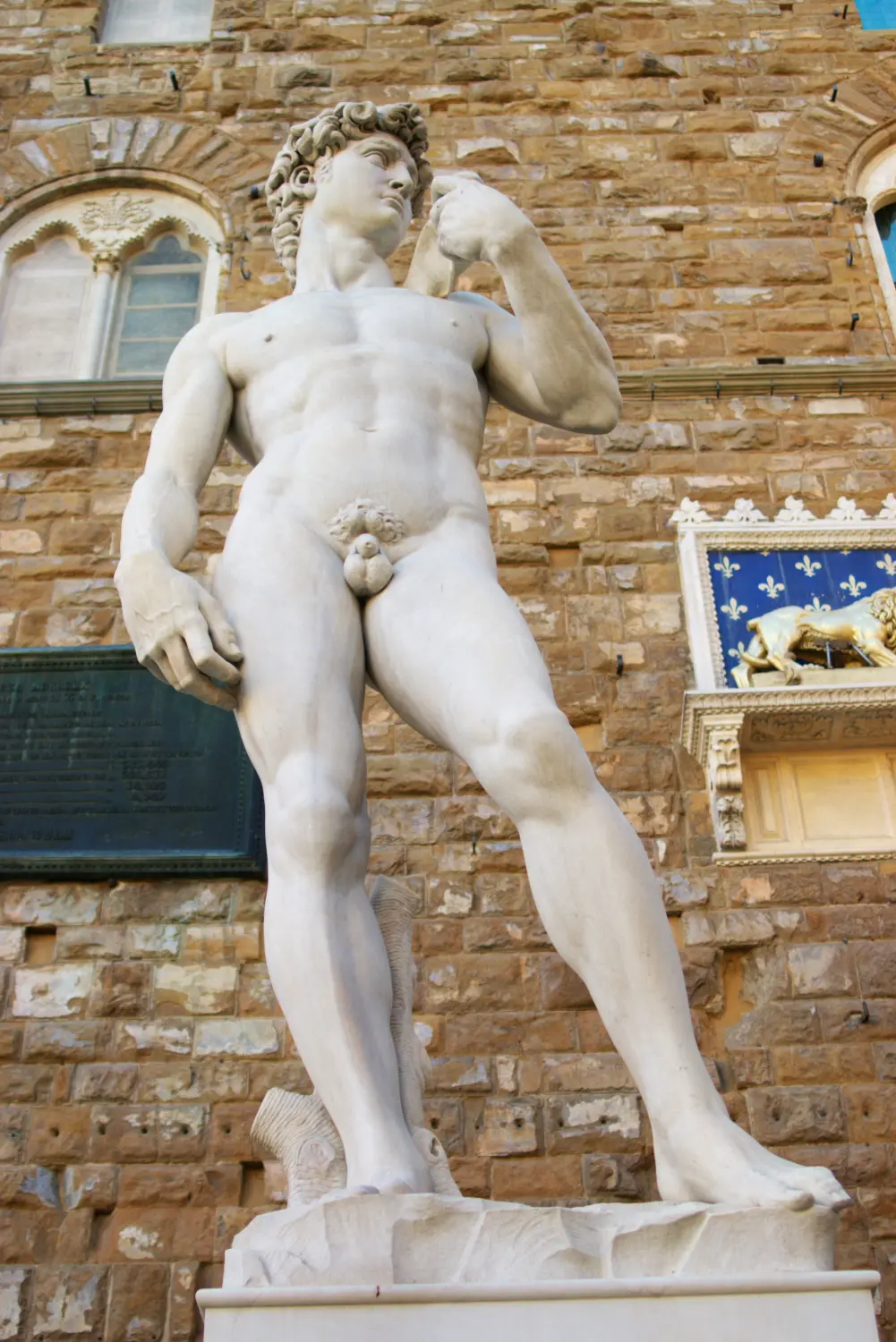 Cosmopolitan Aesthetics Hannover und Braunschweig - Statue des David in Florenz, vertikal
