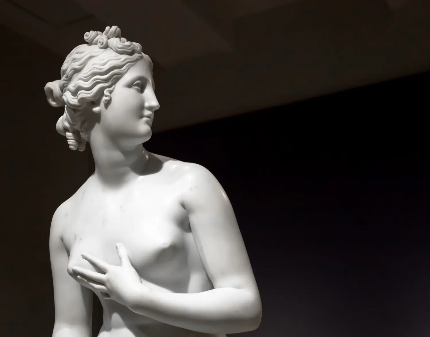 Cosmopolitan Aesthetics Hannover und Braunschweig - Venus von Antonio Canova