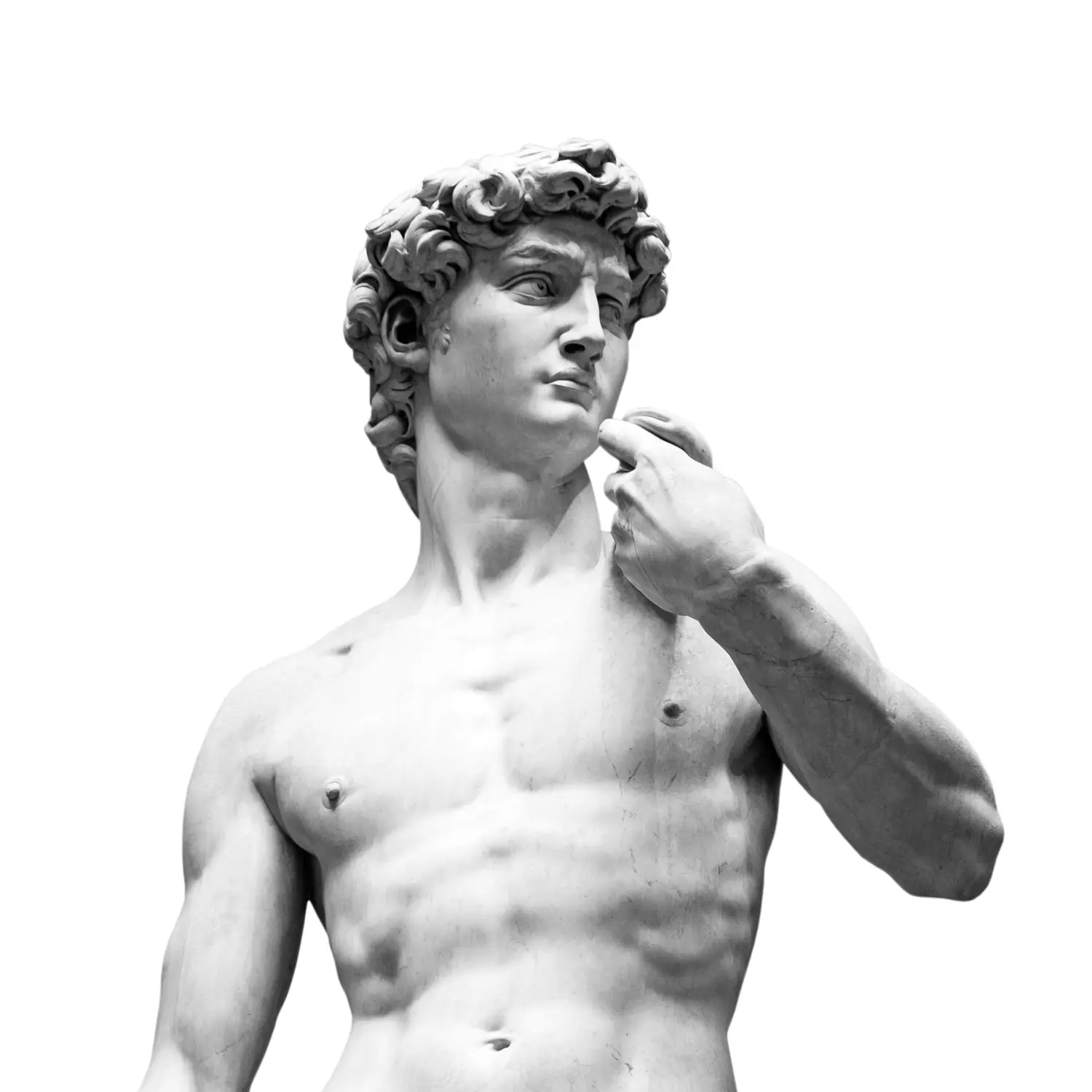 Cosmopolitan Aesthetics Hannover und Braunschweig - Statue des David von Michelangelo isoliert